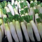 DAIKON 2