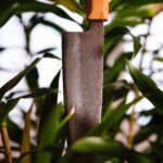 bunka bocho coltello