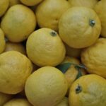 yuzu